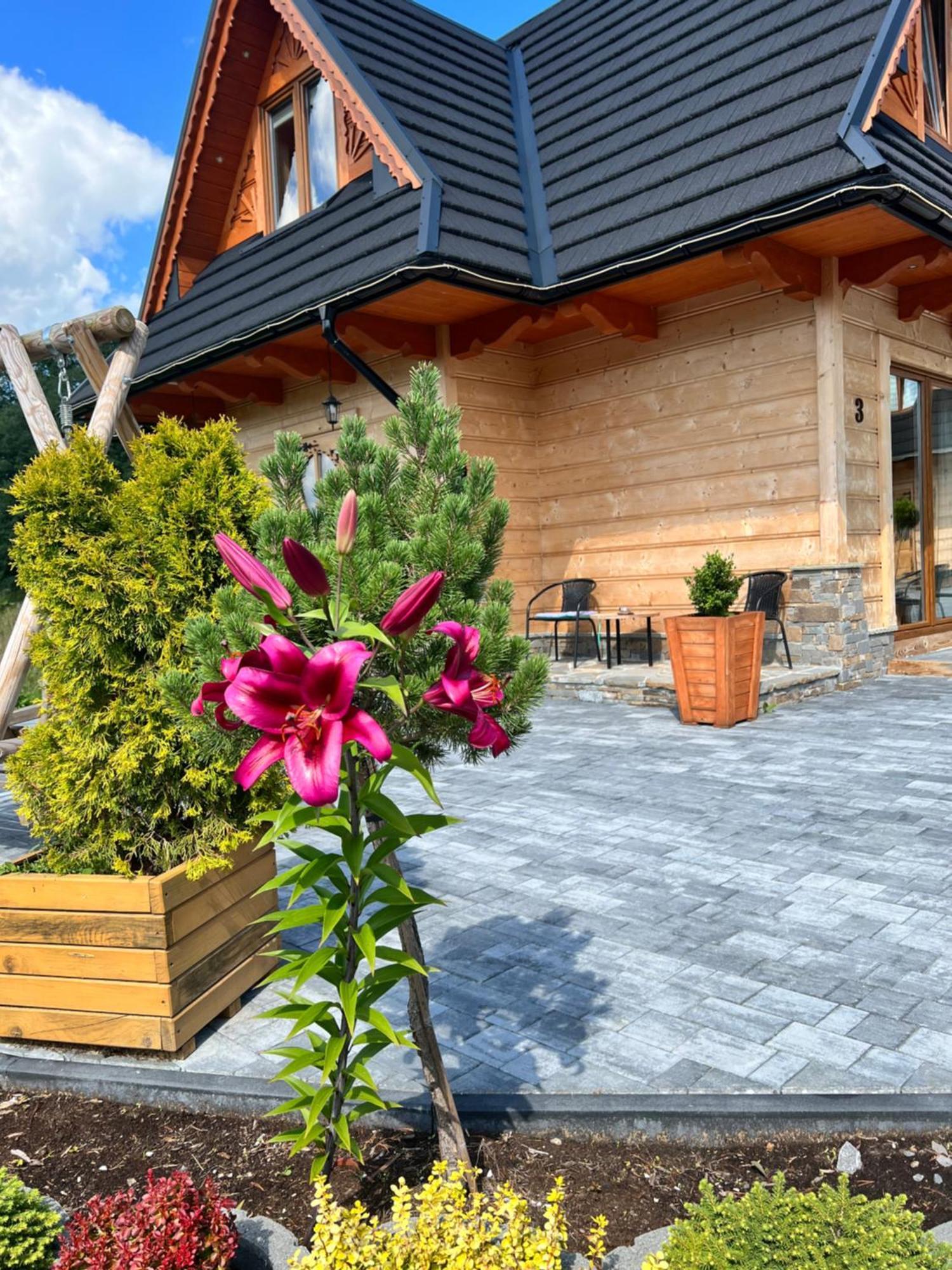 Żabie Dworki Witów Luxury Chalets Exterior foto